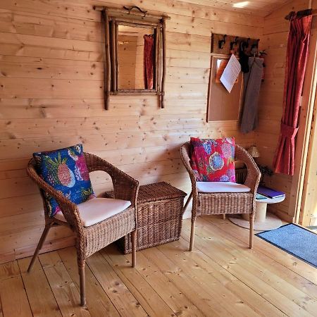 Tan Y Coed'S Rosemary Cabin Conwy Extérieur photo