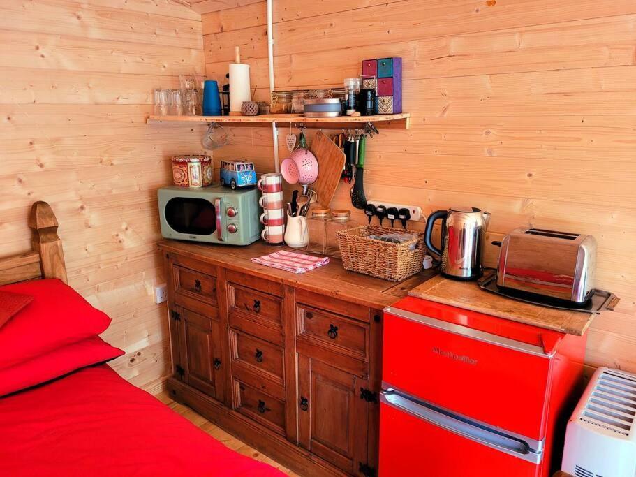 Tan Y Coed'S Rosemary Cabin Conwy Extérieur photo