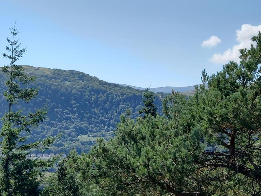 Tan Y Coed'S Rosemary Cabin Conwy Extérieur photo