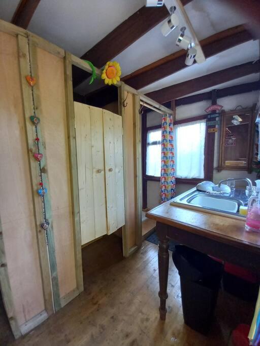 Tan Y Coed'S Rosemary Cabin Conwy Extérieur photo