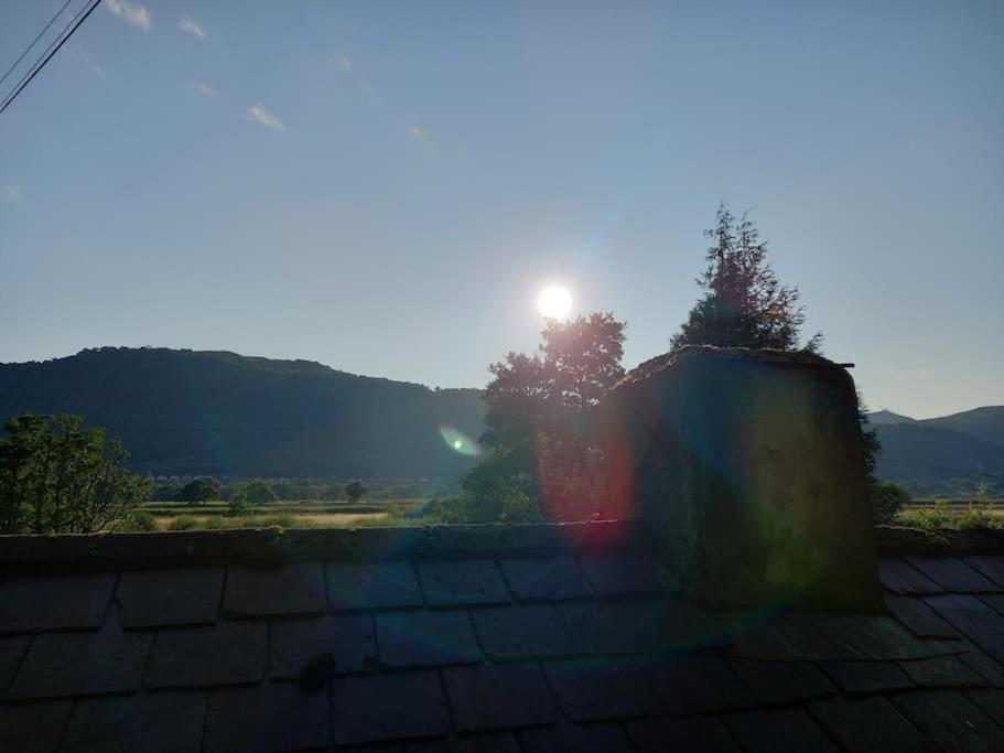 Tan Y Coed'S Rosemary Cabin Conwy Extérieur photo