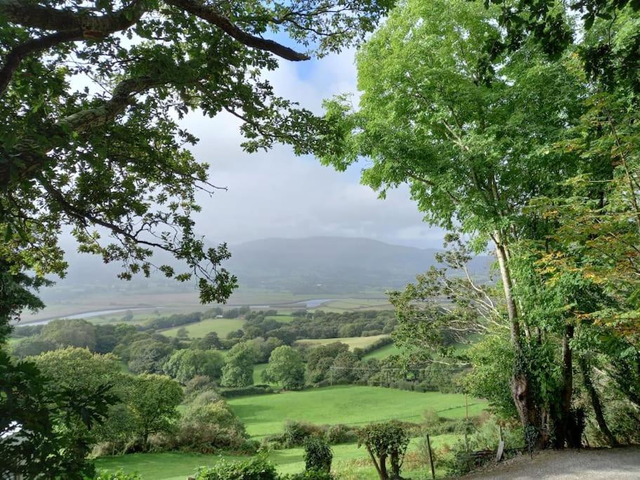 Tan Y Coed'S Rosemary Cabin Conwy Extérieur photo