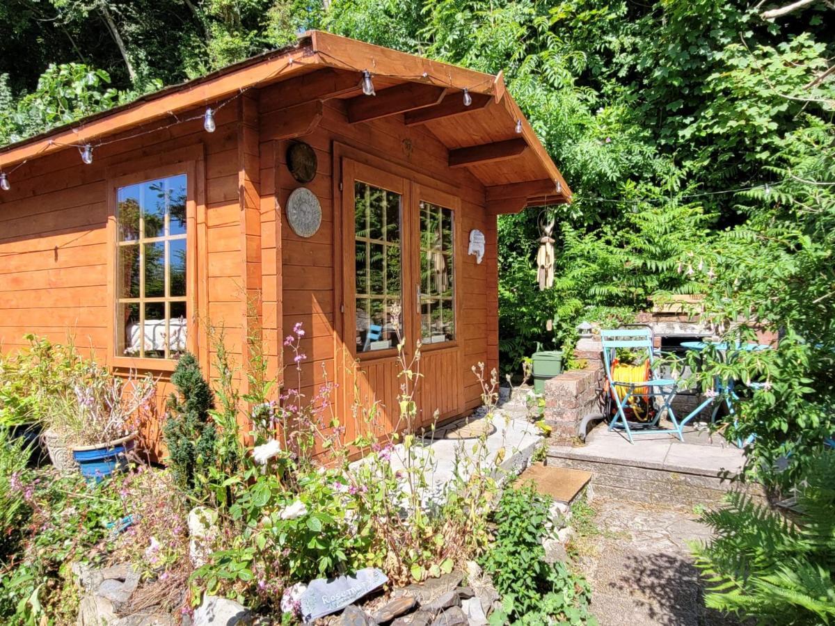 Tan Y Coed'S Rosemary Cabin Conwy Extérieur photo