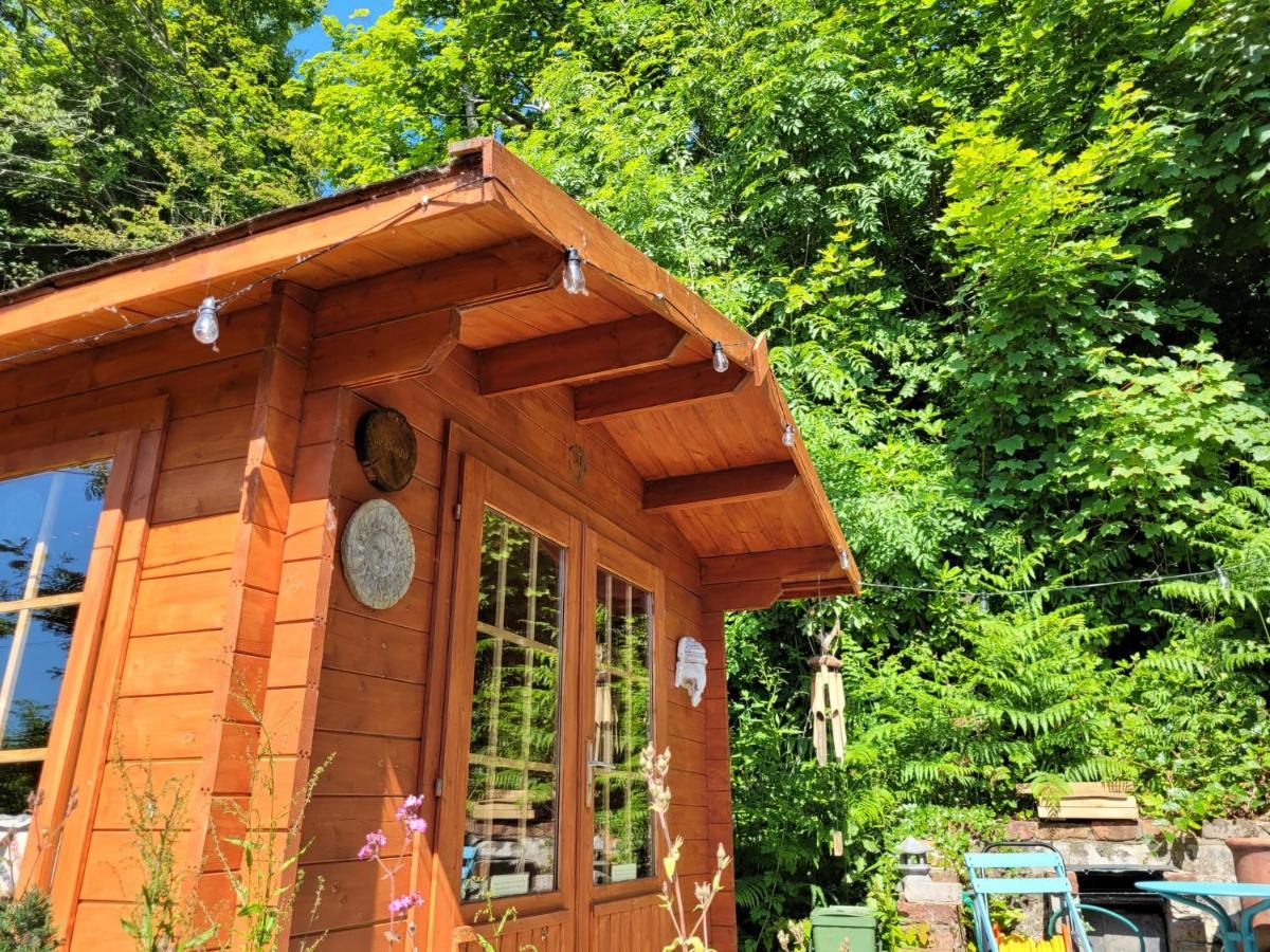 Tan Y Coed'S Rosemary Cabin Conwy Extérieur photo